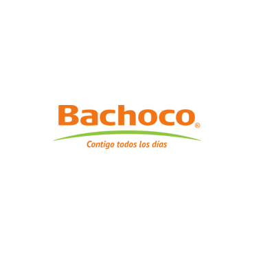 Bachoco